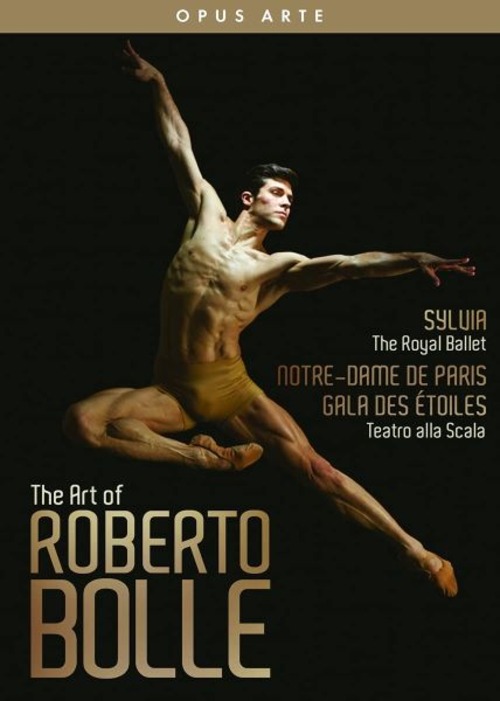 THE ART OF ROBERTO BOLLE