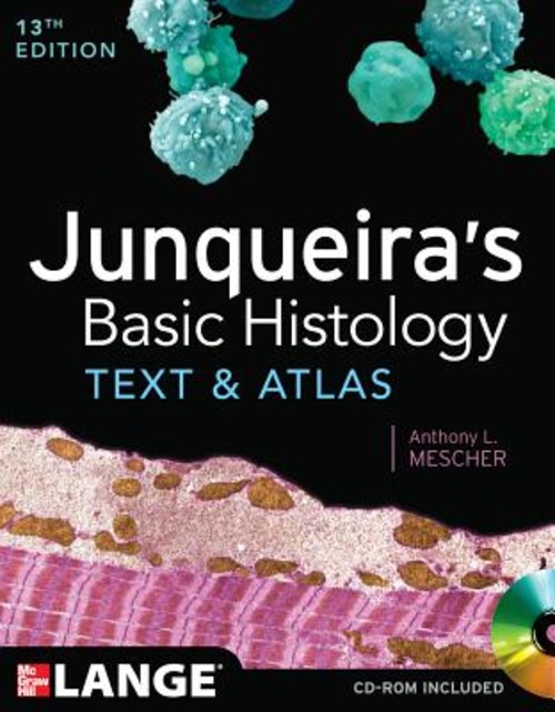 Junqueira's basic histology. Text and atlas