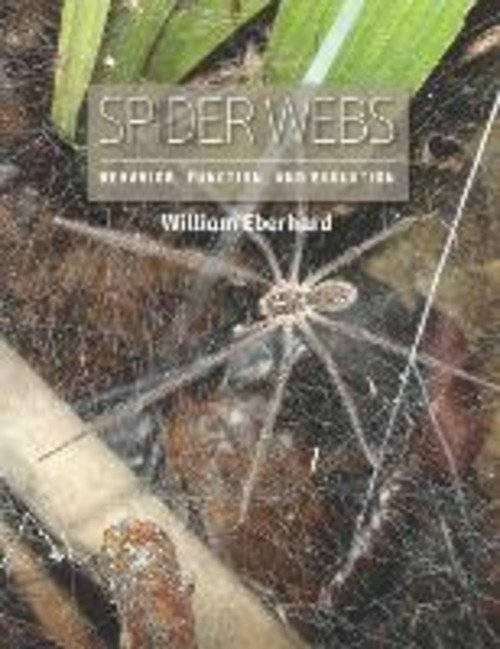 SPIDER WEBS BEHAVIOR, FUNCTION, AND EVOL