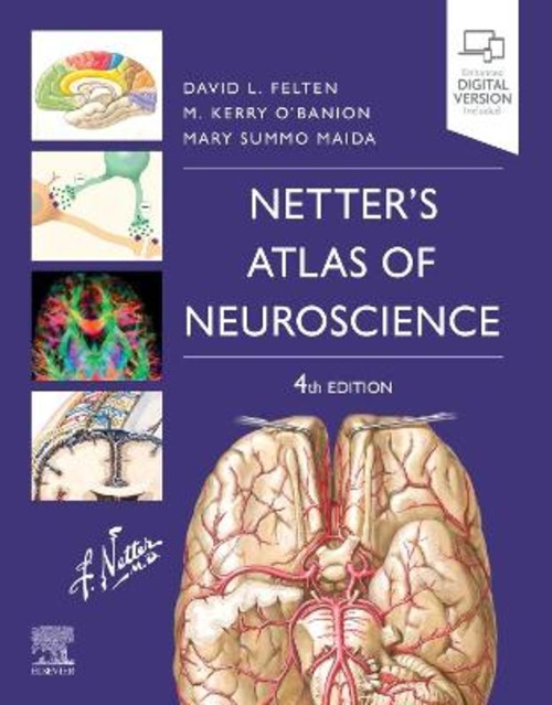 NETTER'S ATLAS OF NEUROSCIENCE