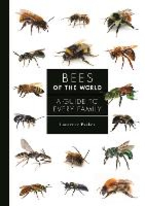 BEES OF THE WORLD A GUIDE TO EVERY FAMIL