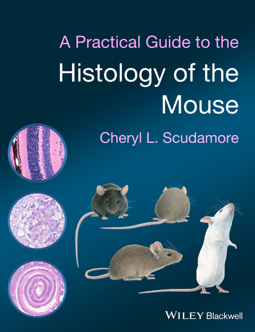 A PRACTICAL GUIDE TO THE HISTOLOGY OF TH
