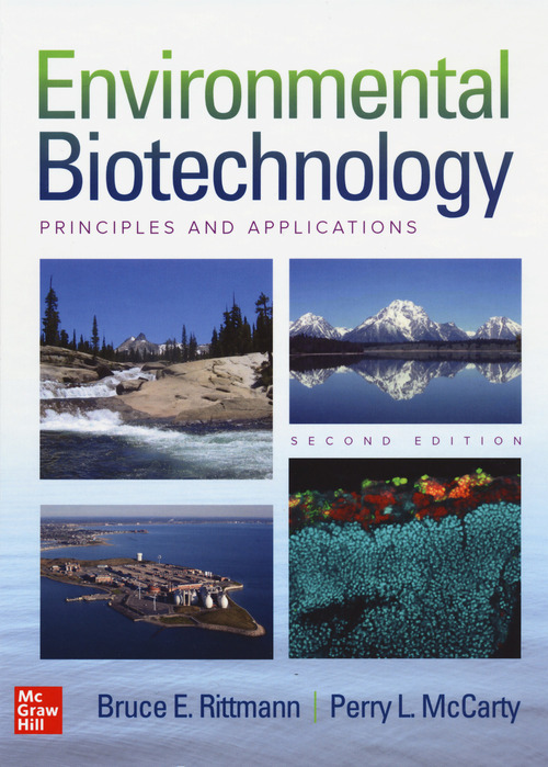 Environmental biotechnology. Principles and application