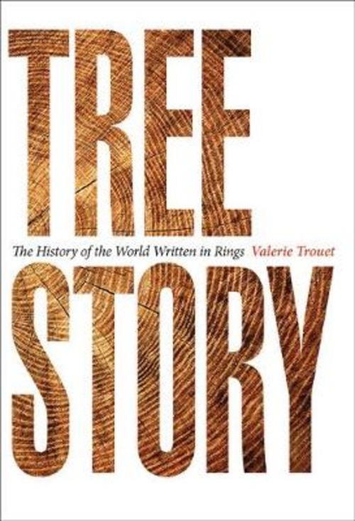 TREE STORY THE HISTORY OF THE WORLD WRIT