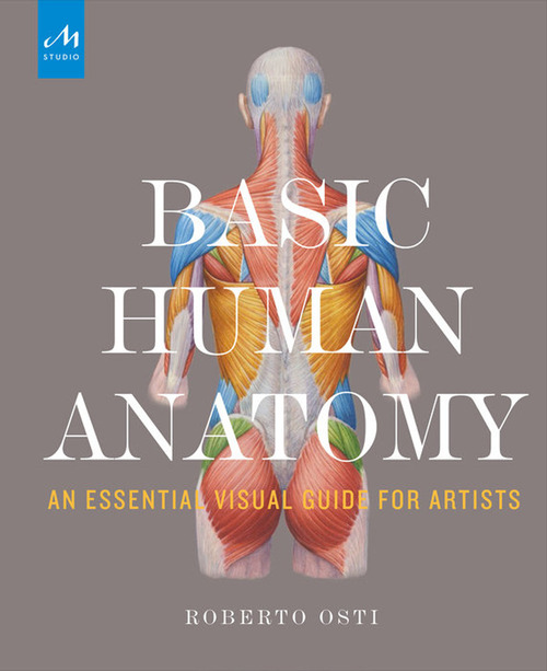 Basic human anatomy. An essential visual guide for artists