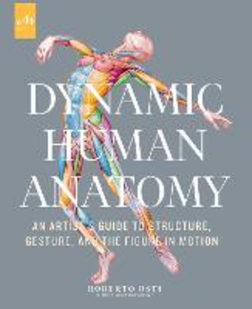 Dynamic human anatomy. An artist's guide to structure, gesture, and the figure in motion