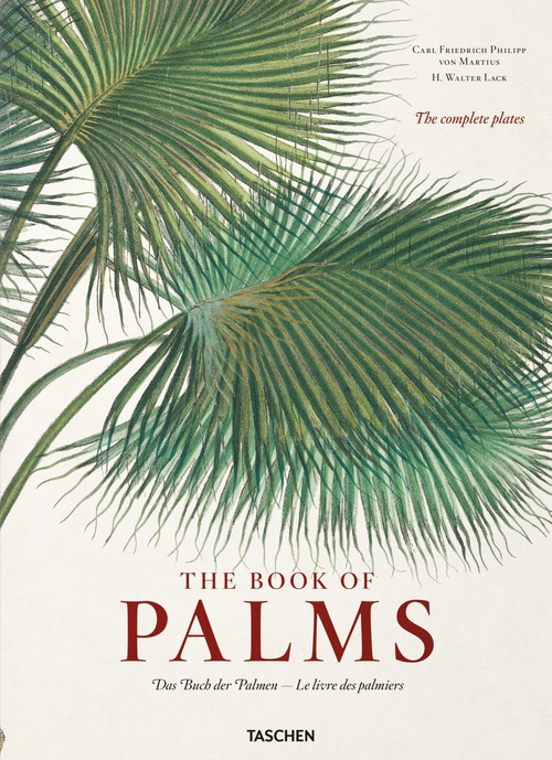 C. F. P. von Martius. The book of palms. Ediz. inglese, francese e tedesca