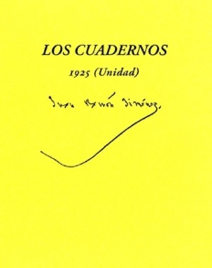 LOS CUADERNOS 1925 (UNIDAD)