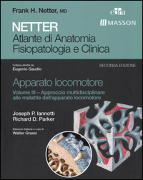 Netter. Atlante di anatomia fisiopatologia e clinica. Apparato locomotore. Volume Vol. 3