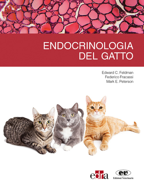 Endrocrinologia del gatto