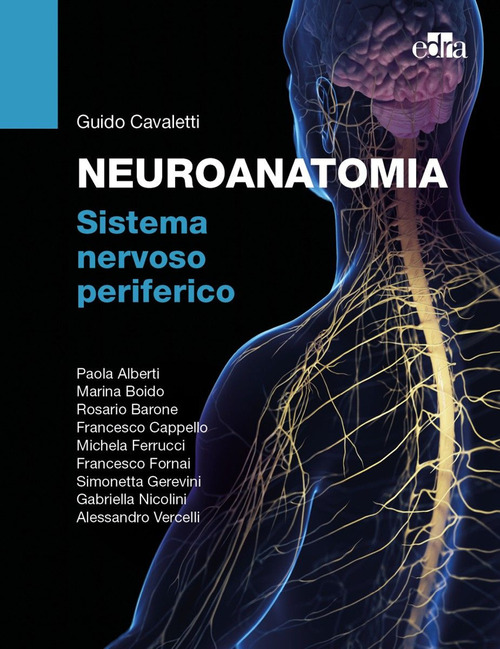 Neuroanatomia. Sistema nervoso periferico