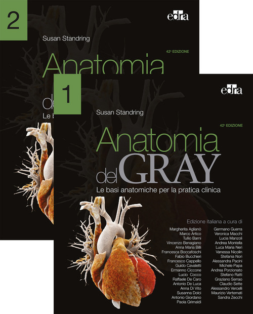 Anatomia del Gray. Le basi anatomiche per la pratica clinica. Volume 1-2