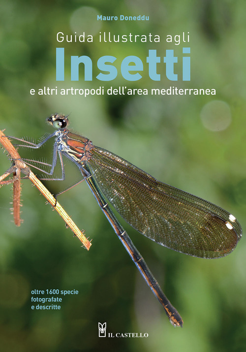 Guida illustrata agli insetti e altri artropodi dell'area mediterranea