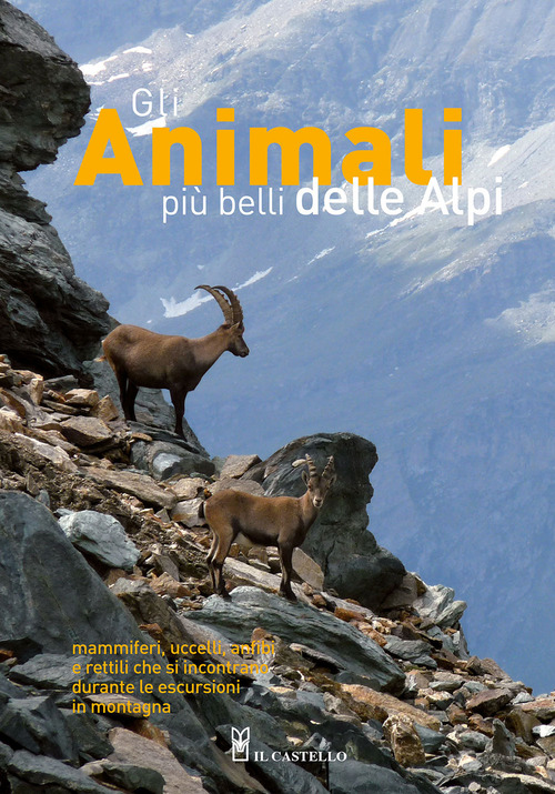 Gli animali più belli delle Alpi. Mammiferi, uccelli, anfibi e rettili che si incontrano durante le escursioni in montagna