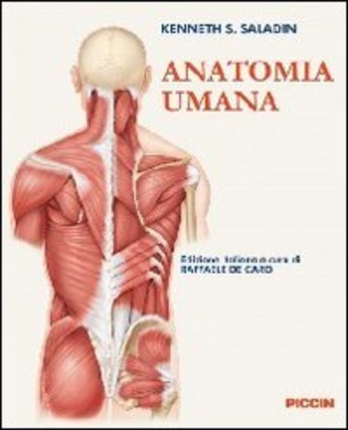 Anatomia umana