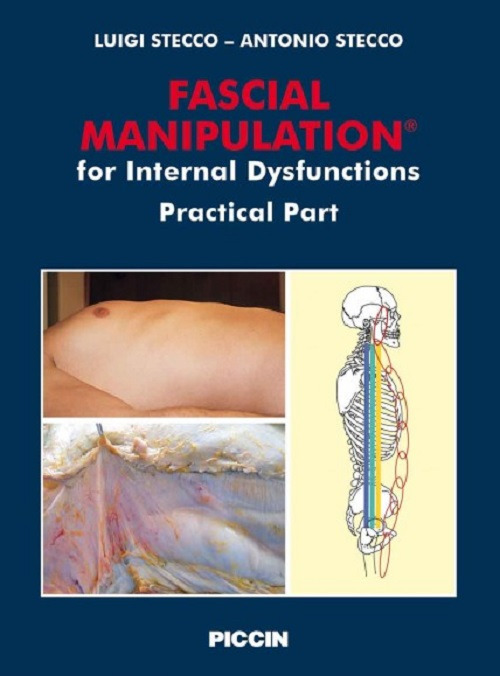 Fascial manipulation for internal dysfunctions. Practical part