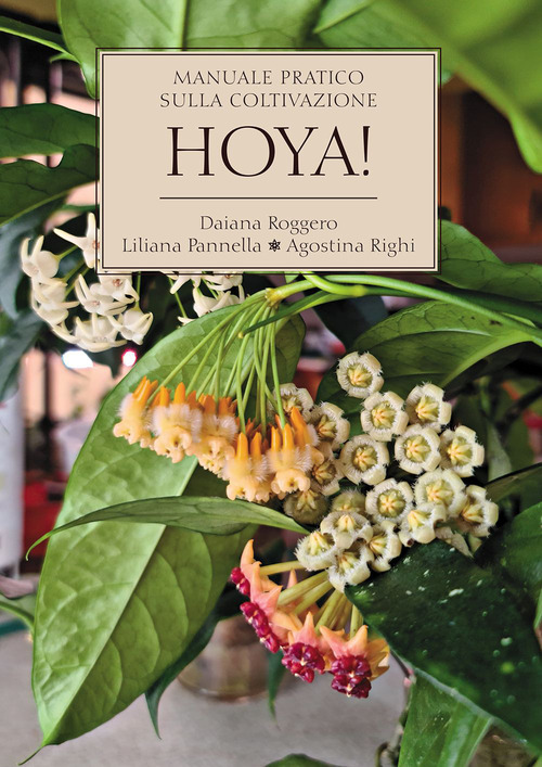 Hoya! Manuale pratico sulla coltivazione