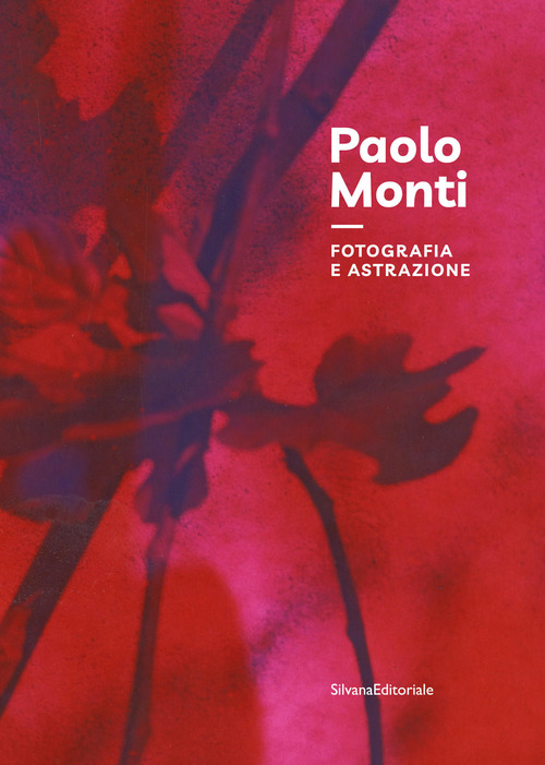 Paolo Monti. Fotografia e astrazione