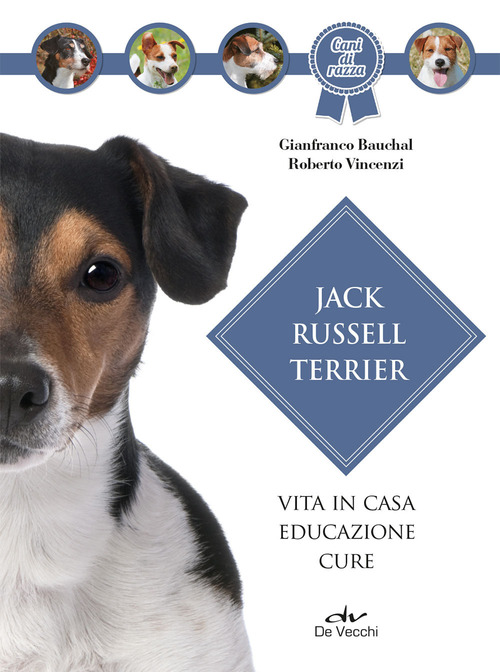 Jack Russel terrier. Vita in casa, educazione, cure