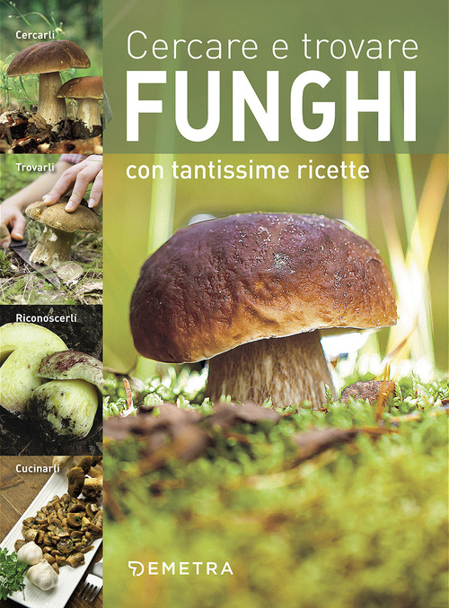 Cercare e trovare funghi. Cercarli, trovarli, riconoscerli, cucinarli
