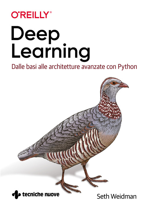 Deep learning. Dalle basi alle architetture avanzate con Python