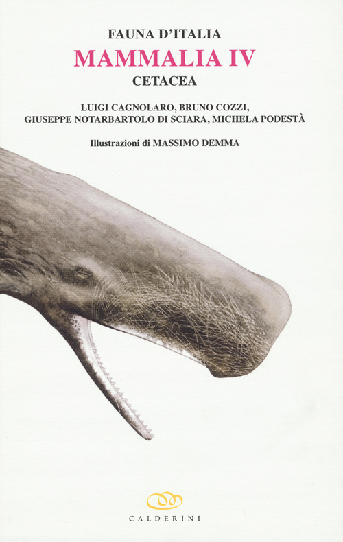Mammalia IV cetacea