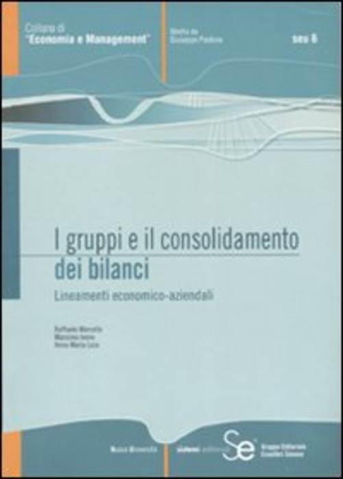 I gruppi e il consolidamento dei bilanci. Lineamenti economico aziendali