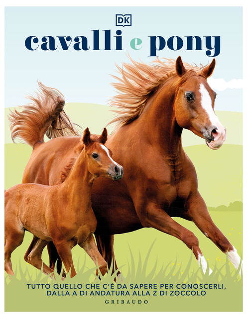 Cavalli e pony