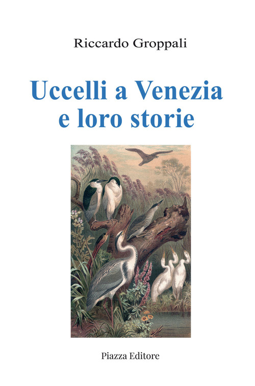 Uccelli a Venezia e loro storie
