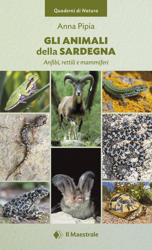 Gli animali della Sardegna. Anfibi, rettili e mammiferi