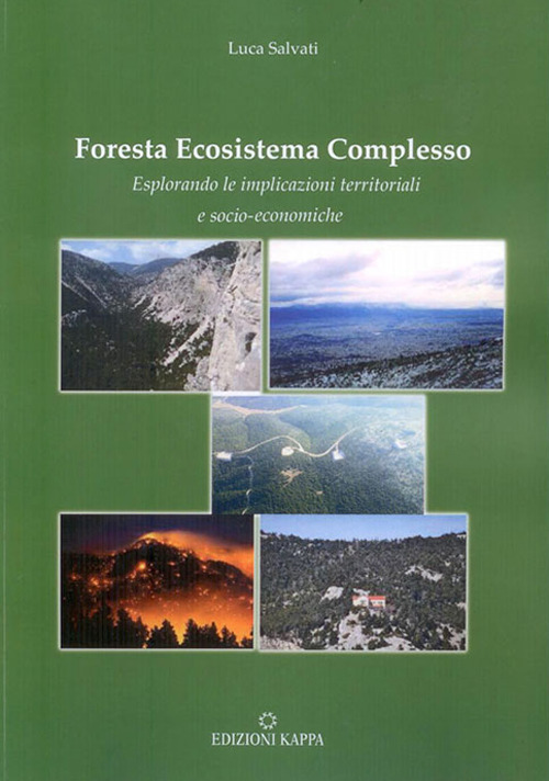 Foresta ecosistema complesso. Esplorando le implicazioni territoriali e socio-economiche