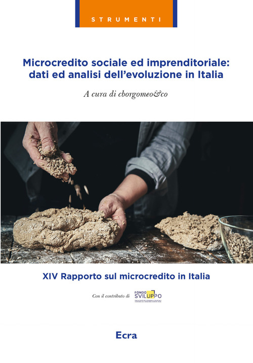 Microcredito sociale ed imprenditoriale: dati analisi dell'evoluzione in Italia