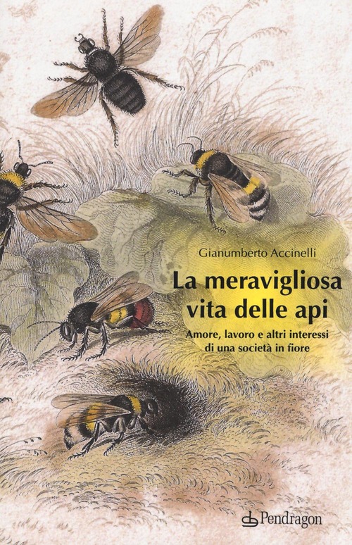 La meravigliosa vita delle api. Amore, lavoro e altri interessi di una società in fiore