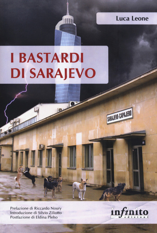 I bastardi di Sarajevo. Una città in balia della corruzione, un paese senza speranze di futuro, il fantasma del passato che torna dall'Italia