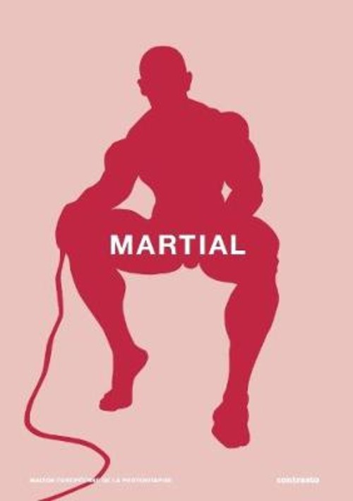Martial. Ediz. inglese e francese. Volume 3