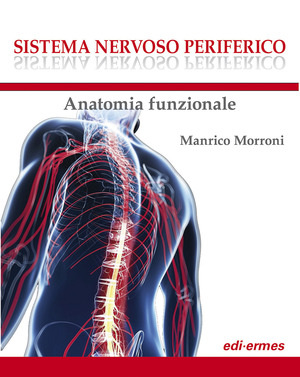 Sistema nervoso periferico. Anatomia funzionale