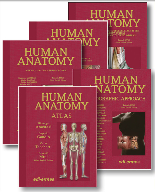 Anatomy bag plus. Treatise on Human Anatomy, Topographic Approach, Atlas