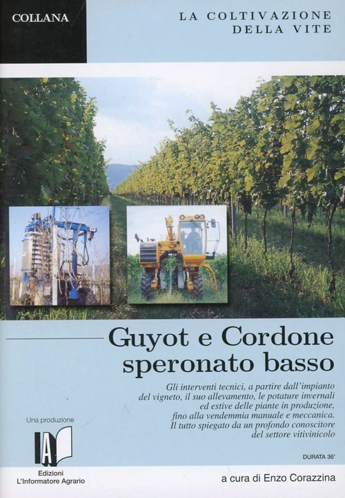 La coltivazione della vite. Guyot e Cordone Speronato basso. DVD