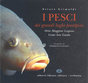 I pesci dei laghi prealpini: Lago Maggiore, Orta, Lugano, Como, Iseo, Garda