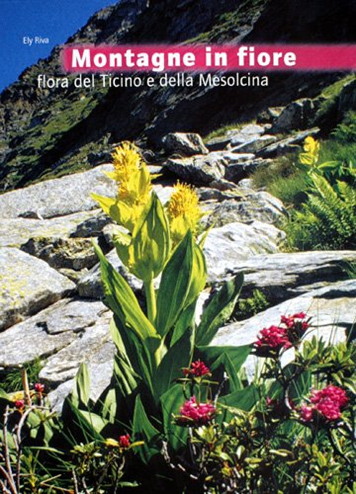 Montagne in fiore. Flora del Ticino e della Mesolcina