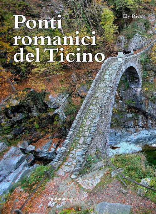 Ponti romanici del Ticino