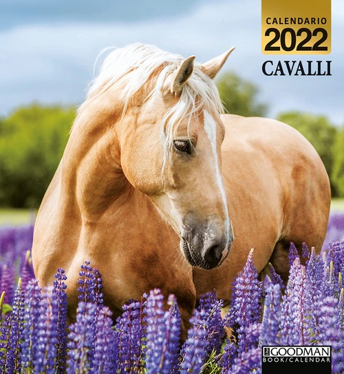 CAVALLI. CALENDARIO 2022