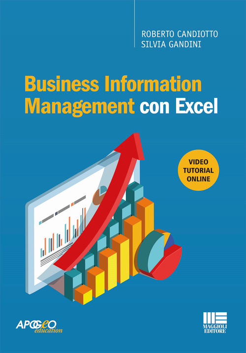 Business information management con Excel