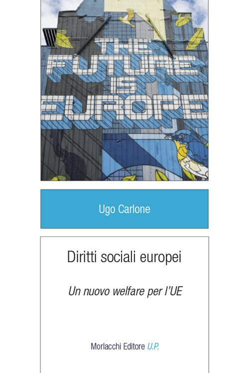 Diritti sociali europei. Un nuovo welfare per l'UE