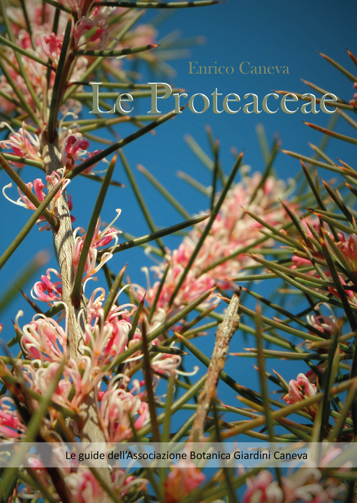 Le Proteaceae