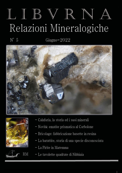 Relazioni mineralogiche. Libvrna. Volume 5