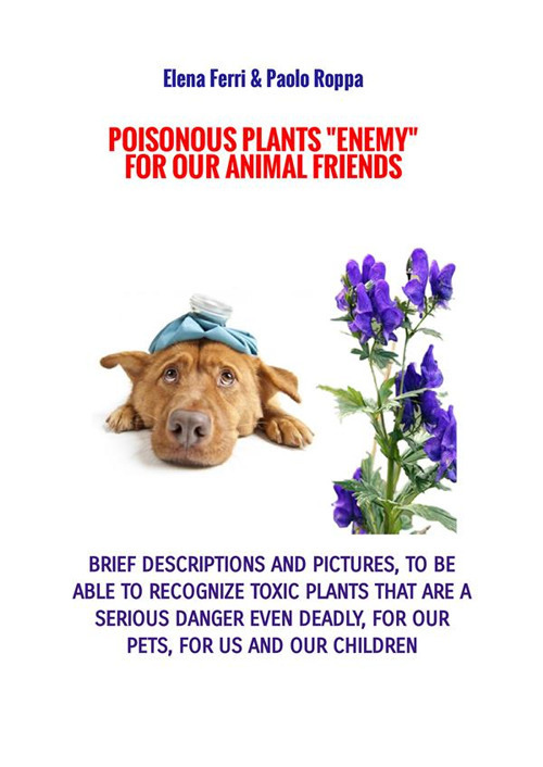 Poisonous plants «enemy» for our animal friends. For animal lovers