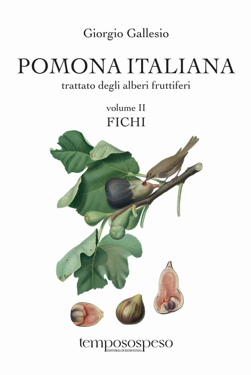 Pomona italiana ossia Trattato degli alberi fruttiferi. Volume Vol. 2